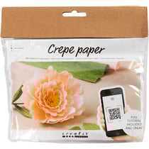 Mini kit DIY fleurs en papier crépon - Pivoine