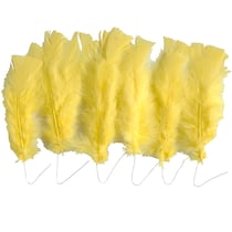 Plumes, dim. 11-17 cm, jaune, 18 boule/ 1 Pq.