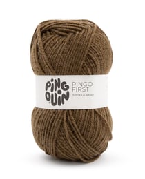 PINGO FIRST