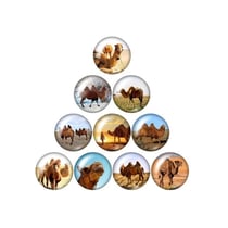10 cabochons rond en verre assorties 25 mm CHAMEAUX DROMADAIRE