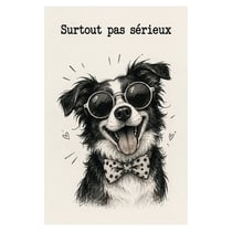 Plaque Métal Chien Surtout Pas Sérieux Déco Humour H30