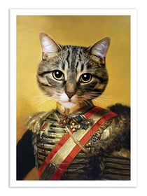 Affiche 50 x 70 cm -  Ivan - Tein Lucasson