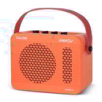 CALINE® CA300G – Mini Ampli 15W à Simulation de Lampes