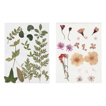 40 fleurs et feuilles séchées - rose & vert