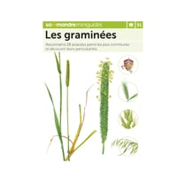 Miniguide 91 - Les graminées