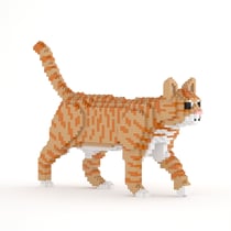 Chat Tigré roux | JEKCA | 14 ans et +