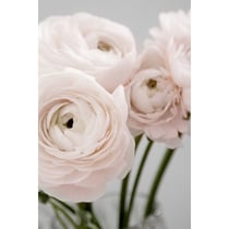 Tableau sur toile bouquet rose 30x45 cm