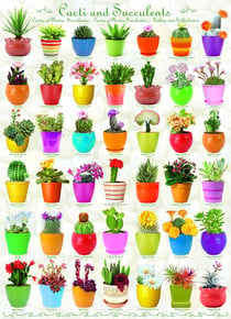Puzzle 1000 pièces - Cactus et Plantes Succulentes - Eurographics