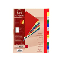 Intercalaires Polypro - 12 Positions - Mensuel - A4 - Exacompta