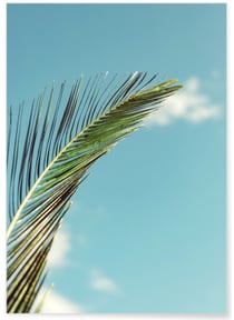 Poster Palm Trees 3 | A3 : 29,7x42cm