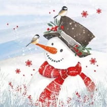 4 serviettes en papier découpage collage 33 cm BOHOMME DE NEIGE OISEAU NOEL N 613