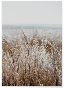 Poster Nature Winter 2 | A3 : 29,7x42cm