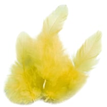140 plumes de coq jaunes 10 cm