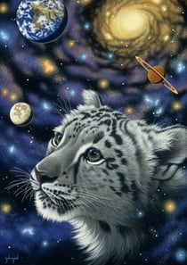 Puzzle 1500 pièces - Schim Schimmel - One with the Universe - Grafika