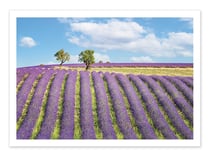 Affiche 50 x 70 cm -  Summer in Provence - Manjik Pictures