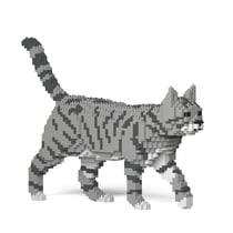Chat Tigré gris clair | JEKCA | 14 ans et +