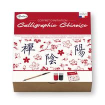 Coffret - Calligraphie - Initiation à la calligraphie chinoise - Plume + encre + carnet - Aladine