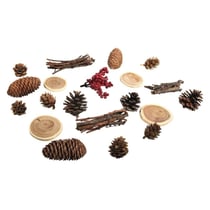 Mélange naturel avec cône 2-6 cm 20 pièces
