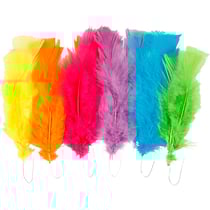Plume déco Multicolore - 11 à 17 cm -18 pcs