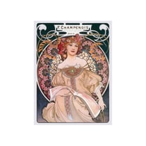 Puzzle Piatnik Mucha Dreams 1000 pièces