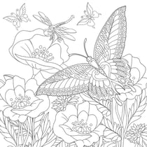 Tableau sur toile nature à colorier 30x30 cm