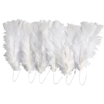 Plumes, dim. 11-17 cm, blanc, 18 boule/ 1 Pq.