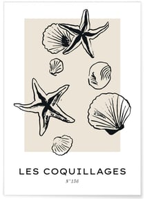 Affiche Les coquillages | A3 : 29,7x42cm