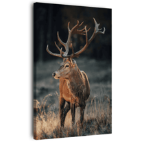 Tableau sur toile cerf sauvage 30x45 cm