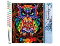 Peinture par Numéro Figured'Art - Hibou coloré - Kit de Loisir Créatif DIY Numéro d'Art Complet - 40x50cm sans châssis en bois