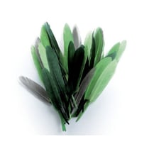 Graine Créative - Plumes d'indien pour activités enfant Camaieu vert 15cm
