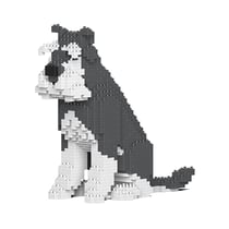 Chien Schnauzer Moyen assis gris et blanc Taille standard | JEKCA | 14 ans et +