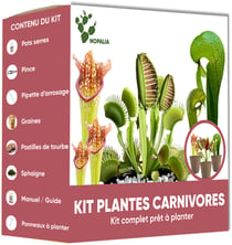 Kit Plantes Carnivores Premium Dionaea Darlingtonia Sarracenia – Nopalia