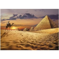 Puzzle 1000 pièces CHAMEAU DANS LE DÉSERT - EDUCA - Animaux - Intérieur