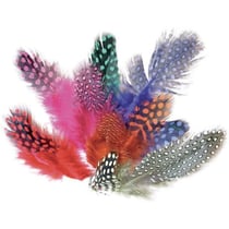 Graine Créative - Plumes pintades colorées 12,5cm