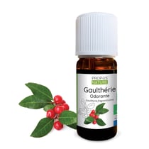 Gaulthérie BIO - Huile essentielle
