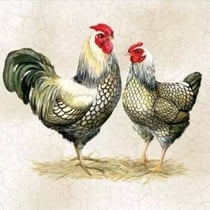 4 serviettes en papier découpage collage 33 cm COUPE COQ POULE ASS 208