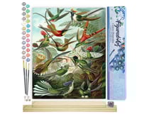 Peinture par Numéro Figured'Art - Tous les oiseaux - Kit de Loisir Créatif DIY Numéro d'Art Complet - 40x50cm toile roulée + châssis en bois à monter