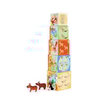 Pyramide animaux du monde