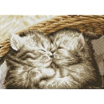 Carré Câlins de chatons – Intermédiaire
