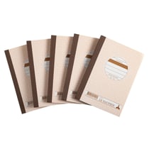 Lot de 5 manifolds - papier autocopiant - quadrillés 5x5 - petits carreaux - duplicata - 50 feuilles - format 14,8 x 10,5 cm - couverture vernie - Avoine - x 20 - Le Dauphin