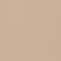 Tissu Spécial Toile de store Orchestra uni Beige
