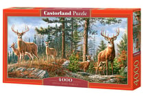 Puzzle 4000 pièces - Famille Royale de Cerfs - Castorland