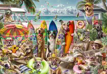 Puzzle 1000 pièces - Chiens et Chats à la Plage - Bluebird Puzzle