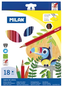 Boîte 18 crayons de couleur hexagonaux