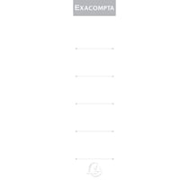 Paquet 10 étiquettes classeur a levier dos de 50mm - Blanc - Exacompta