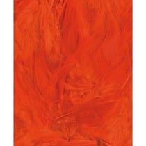 PLUMES ORANGE - 12 CM