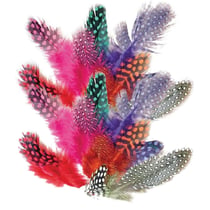 400 plumes colorées de pintade