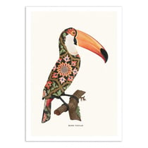 Affiche 50x70 cm - Boho Toucan - Jonas Loose