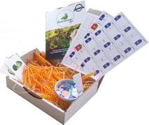 Chaîne de 1000 perles Montessori