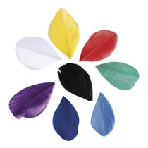 Plumes coupées, Colore, 5 - 6cm, 36 pces